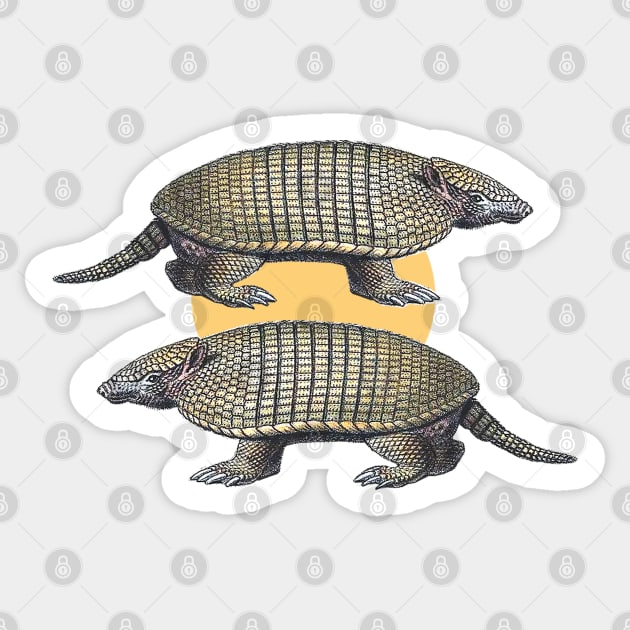 Armadillos Sticker by Marccelus